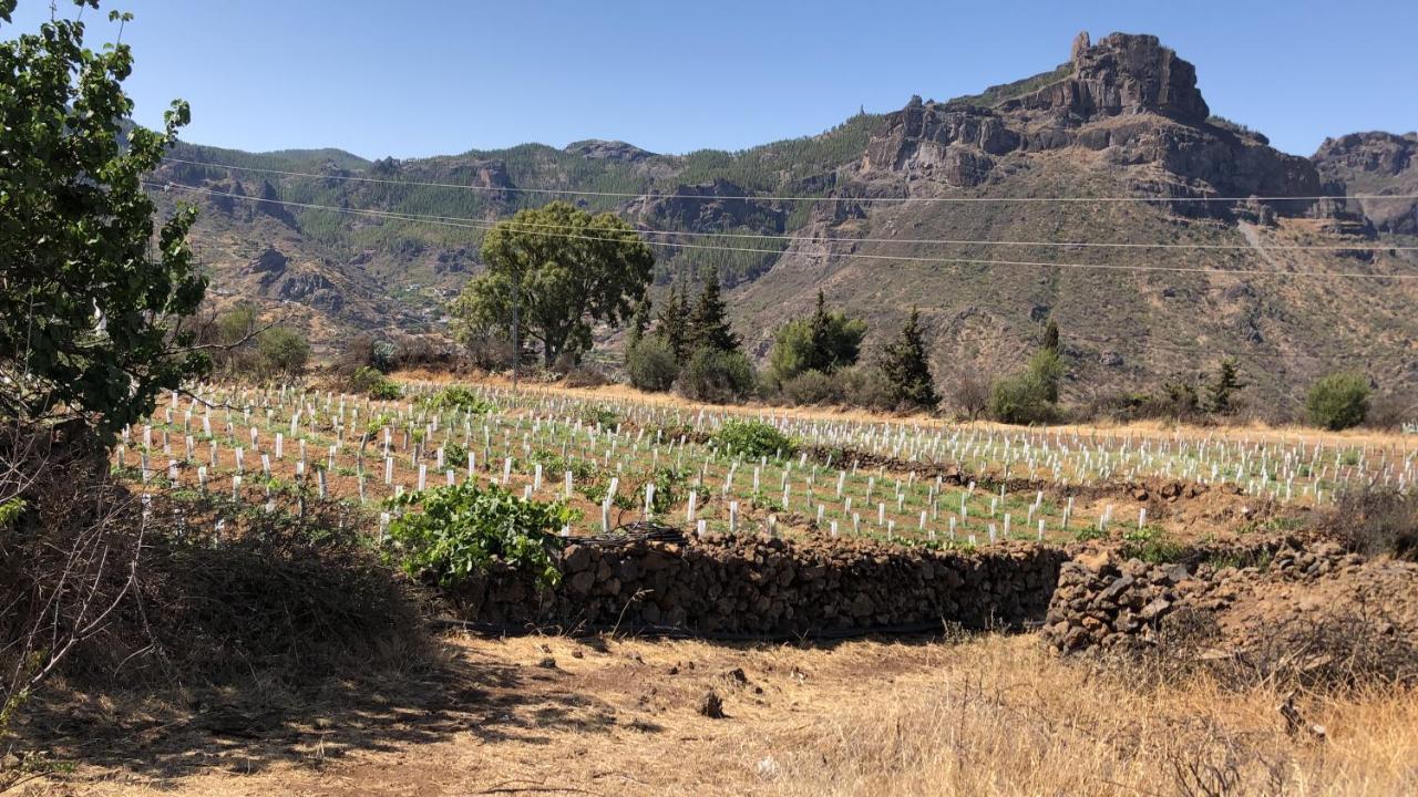 Casa-Finca El Maipez De Tejeda Las Palmas de Gran Canaria Extérieur photo
