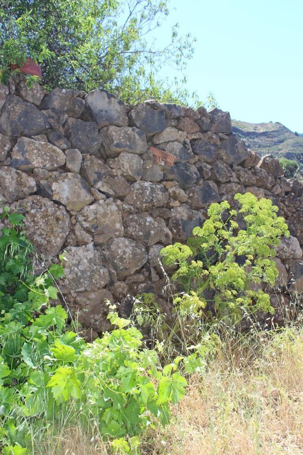 Casa-Finca El Maipez De Tejeda Las Palmas de Gran Canaria Extérieur photo