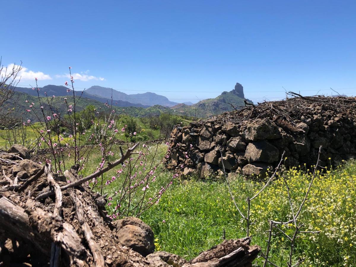 Casa-Finca El Maipez De Tejeda Las Palmas de Gran Canaria Extérieur photo